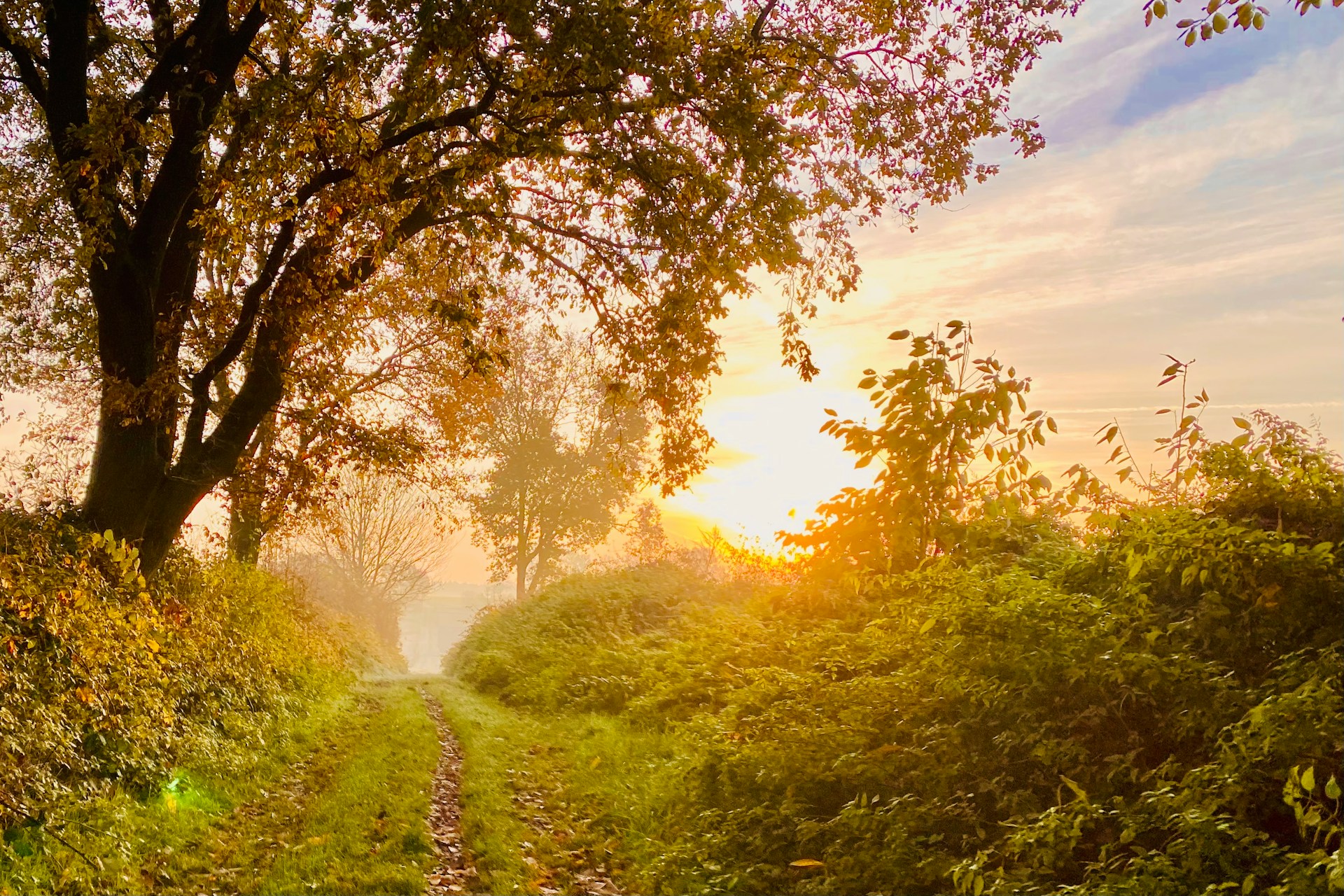 Donna che cammina lungo una strada al tramonto in autunno